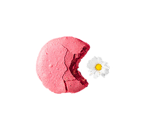 Rezepte Frühjahr