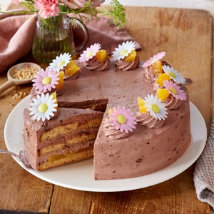 Schoko-Orangen-Torte