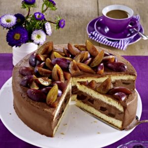 Pflaumen-Schoko-Torte
